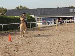 img_7488_web